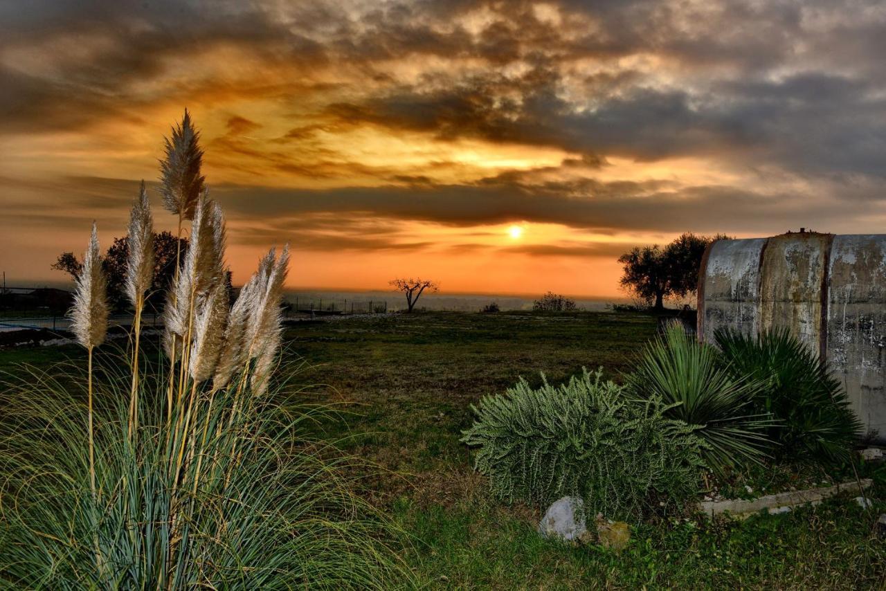 Agriturismo La Guarda Picedo Экстерьер фото