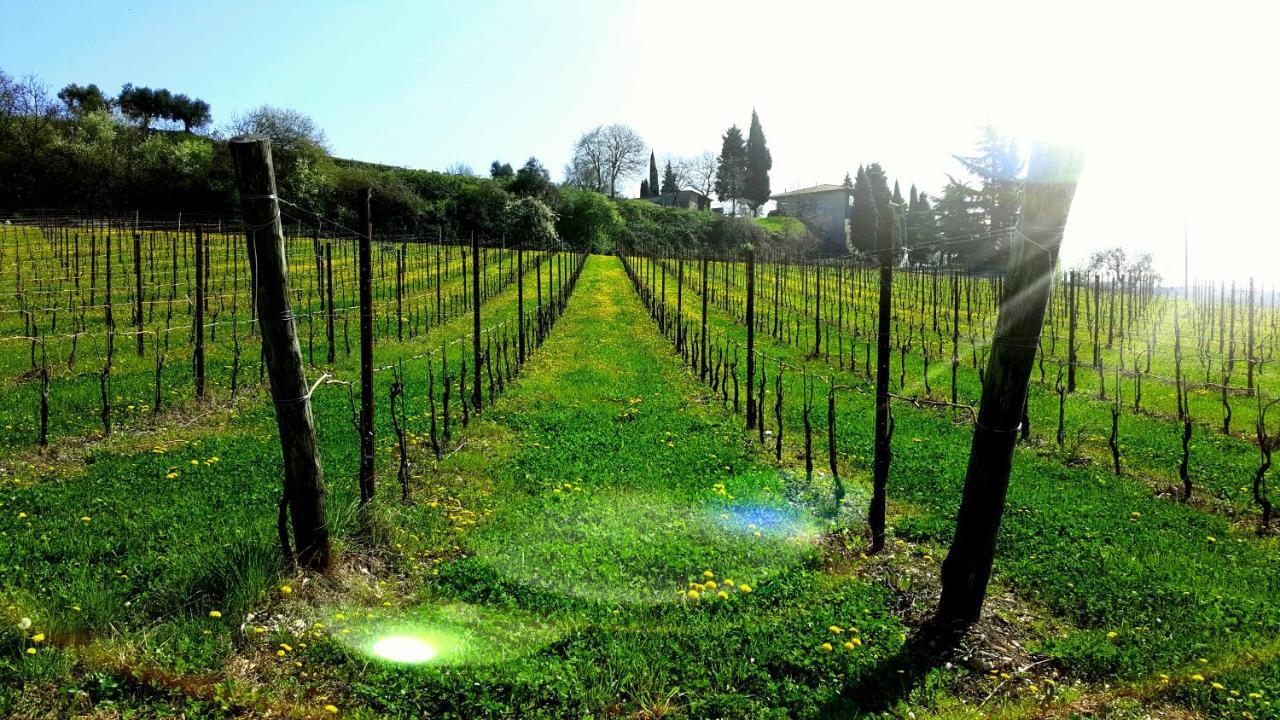 Agriturismo La Guarda Picedo Экстерьер фото