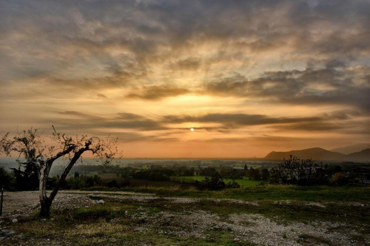 Agriturismo La Guarda Picedo Экстерьер фото