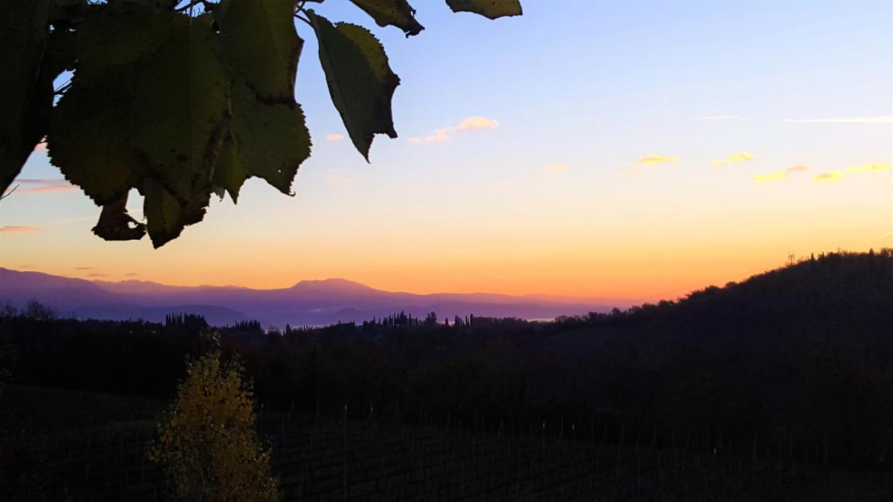 Agriturismo La Guarda Picedo Экстерьер фото