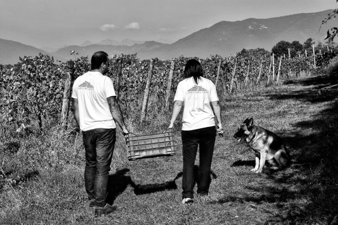 Agriturismo La Guarda Picedo Экстерьер фото