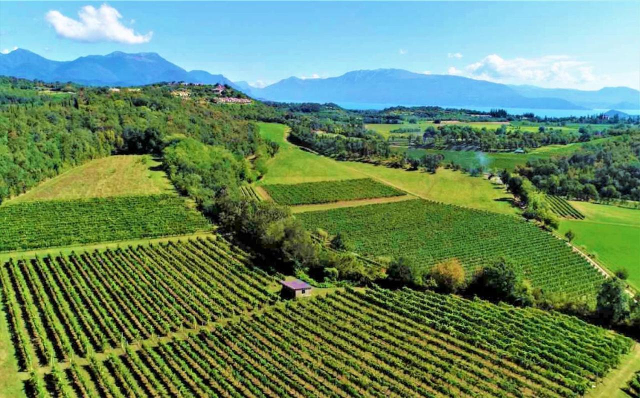 Agriturismo La Guarda Picedo Экстерьер фото